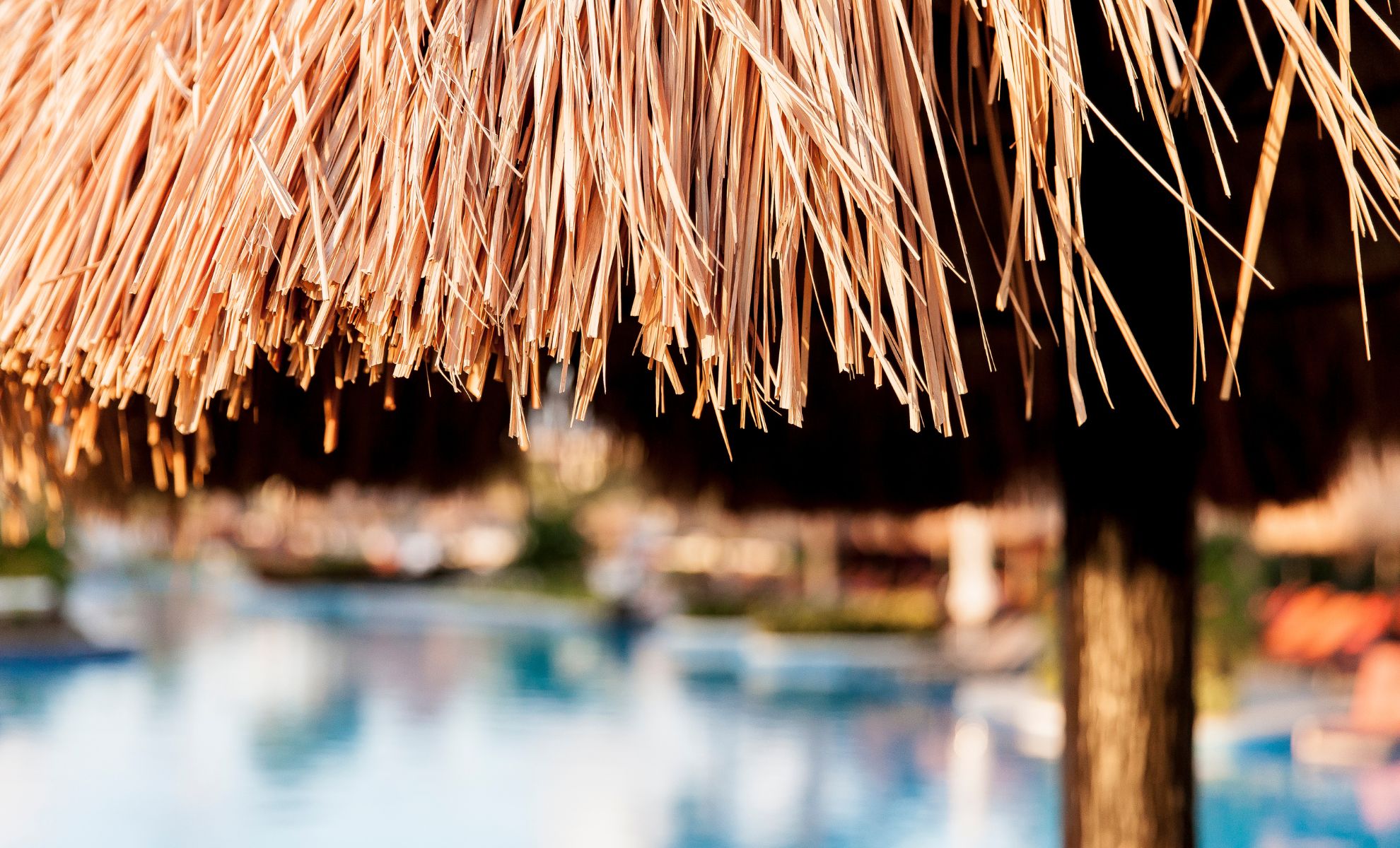 Thatch Roofing Costs in KwaZulu-Natal