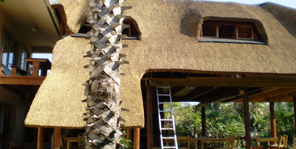 Thatch Roofing in KwaZulu-Natal