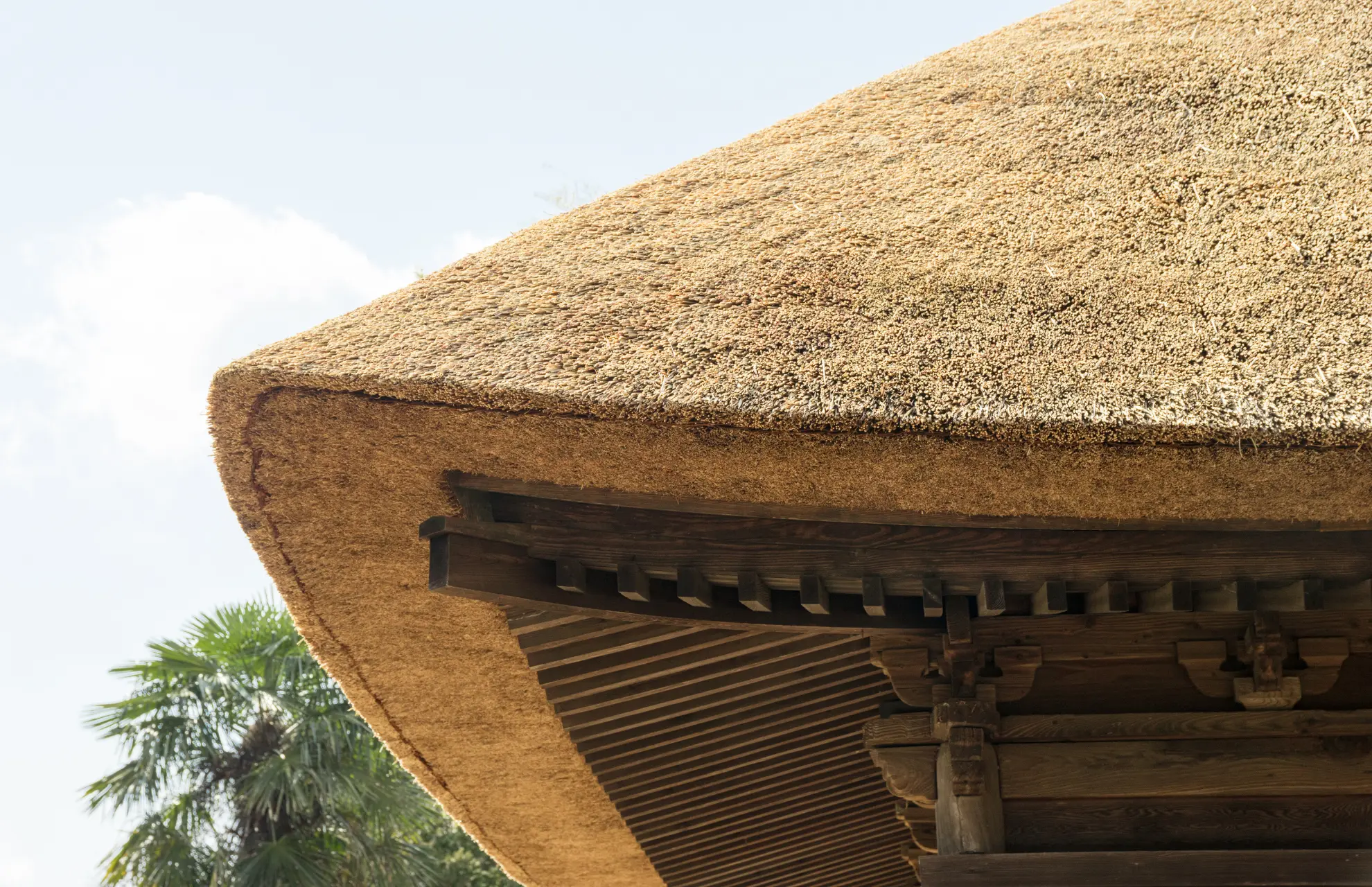 Thatch roof on a lodge property in coastal KwaZulu-Natal