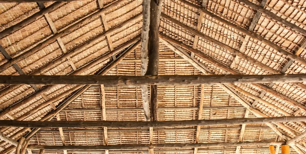 Thatch roof on a lodge property in coastal KwaZulu-Natal