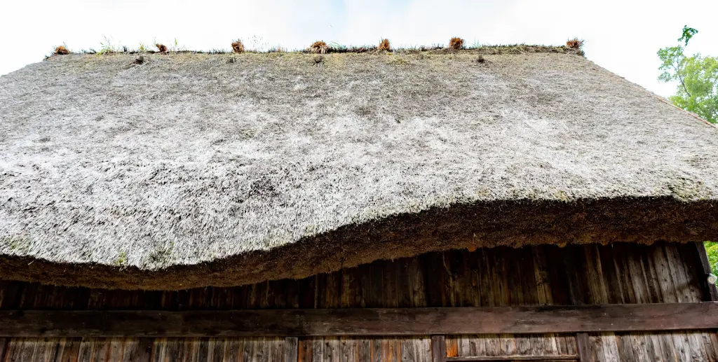 Coastal thatch roof structure in Umhlanga