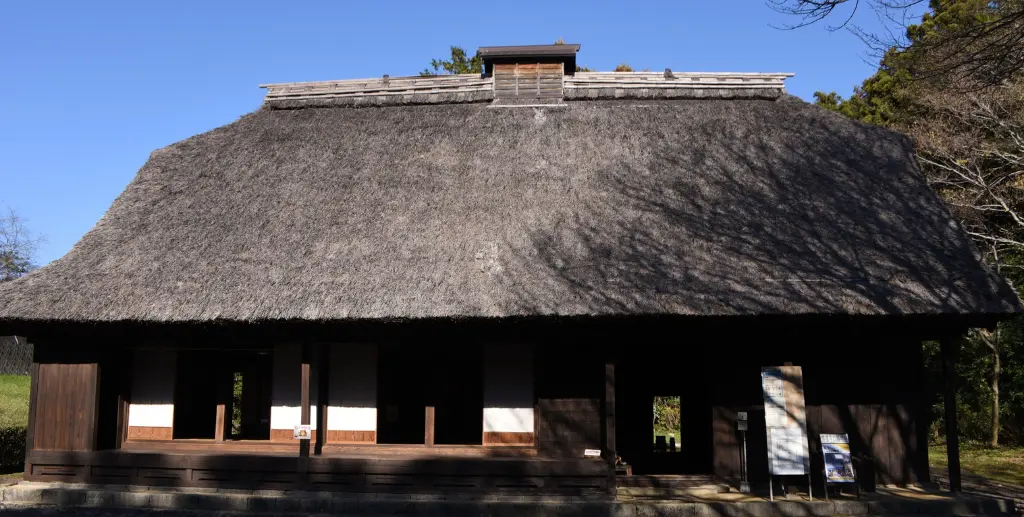 Thatch roof ridge reinforcement in Ballito estate