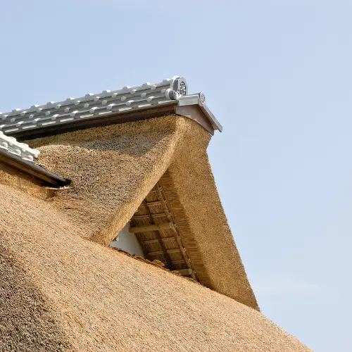 Thatch Roofing Services in Durban