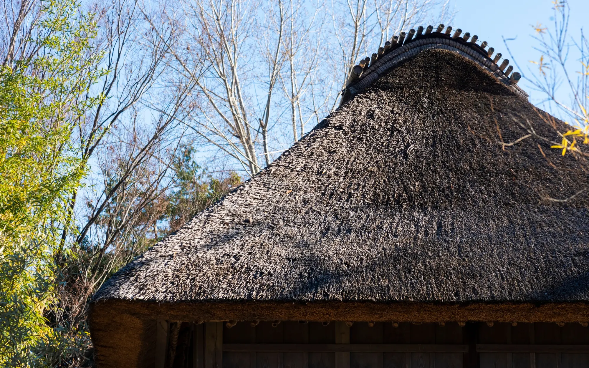 Thatch Roofing in Durban and KwaZulu-Natal: Repairs, Costs, Maintenance and What Property Owners Need to Know