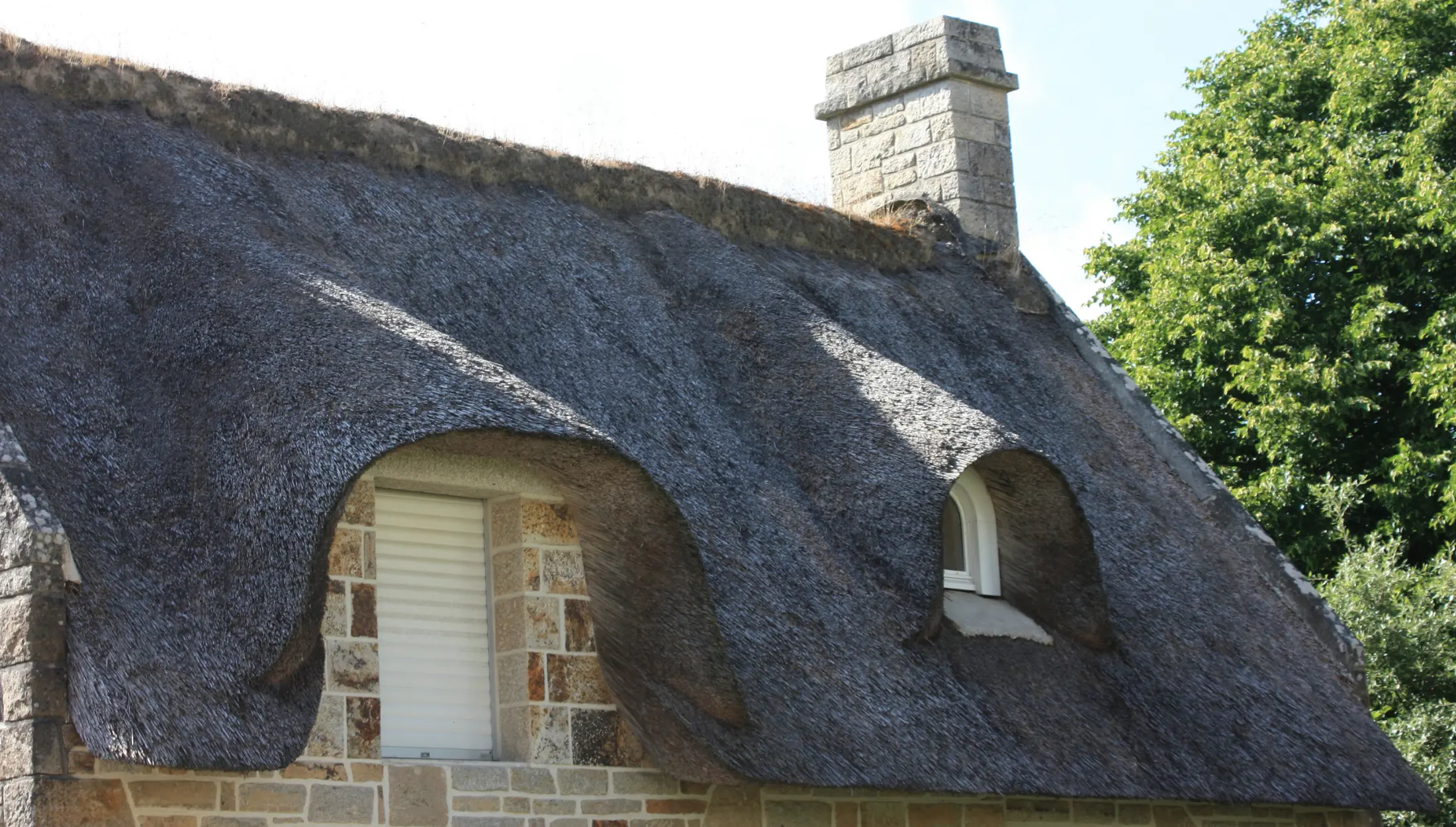 How to Choose a Thatch Roofing Contractor in KwaZulu-Natal