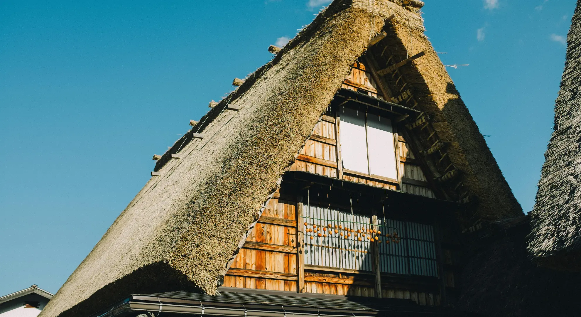 Thatch Roof Inspections in Durban and KwaZulu-Natal: What Professionals Look For and Why Annual Inspections Matter